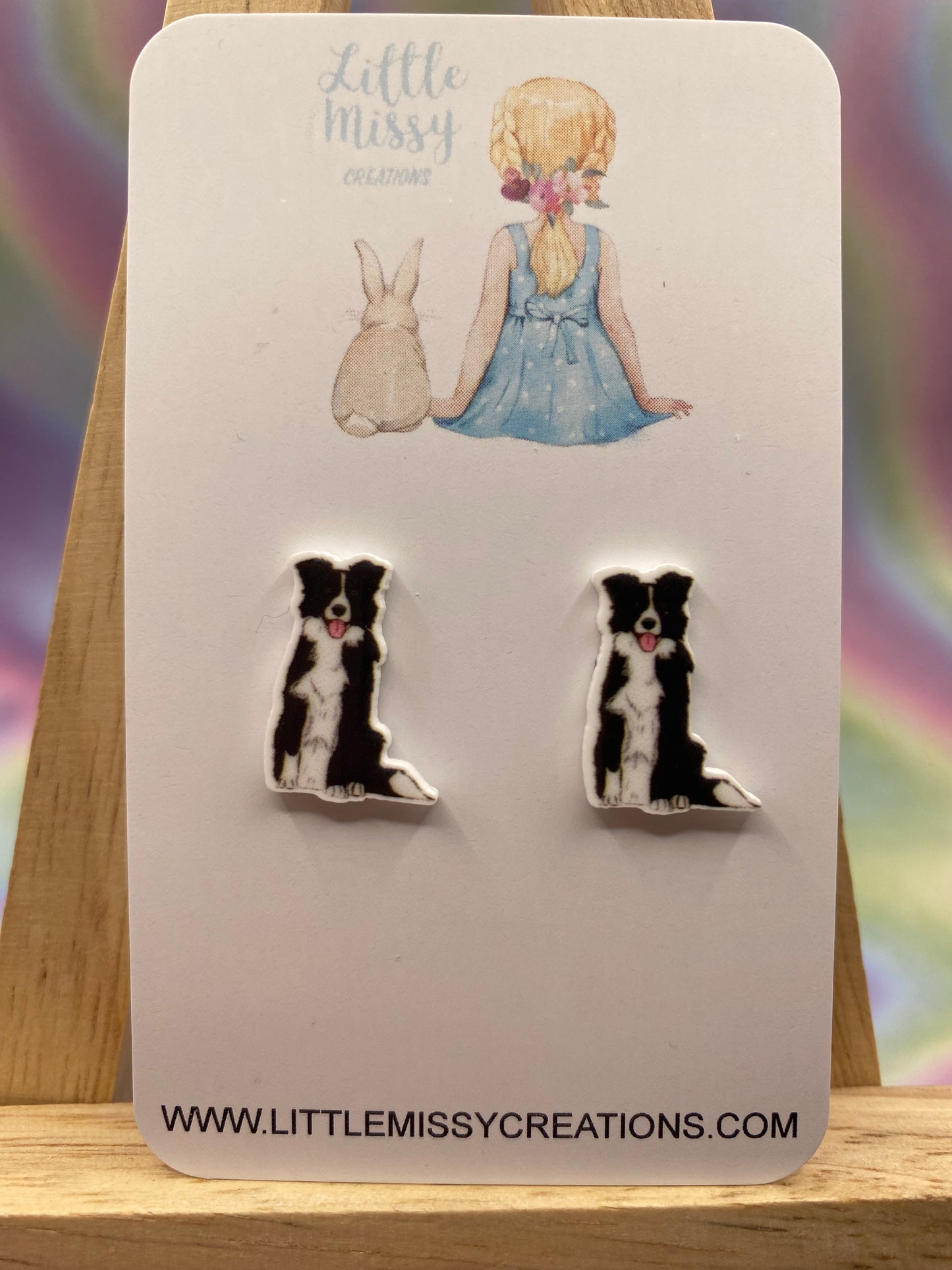 Border Collie Studs