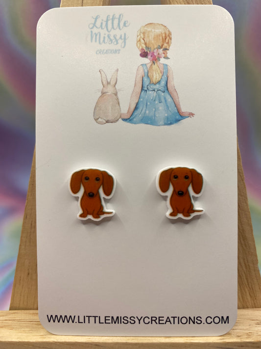 Dachshund Studs