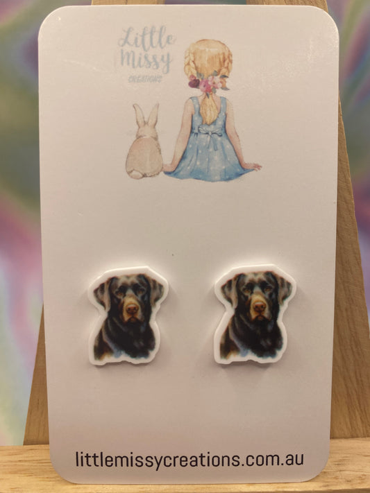 Labrador Studs